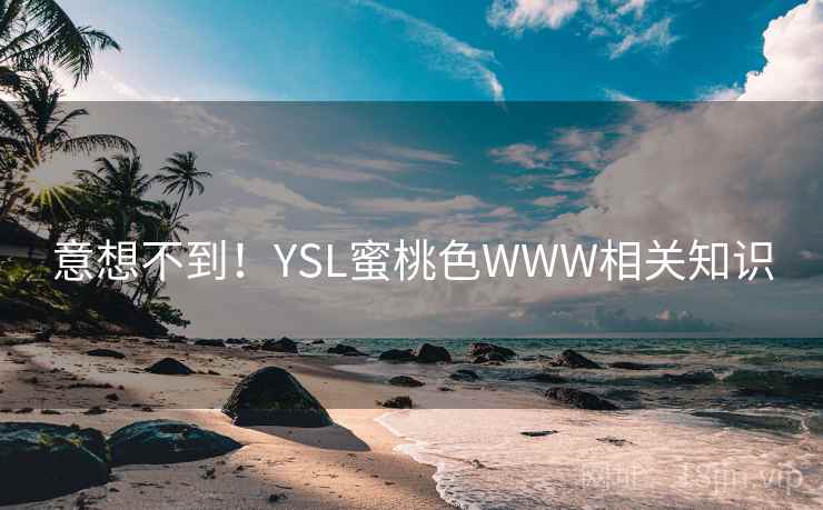 意想不到！YSL蜜桃色WWW相关知识